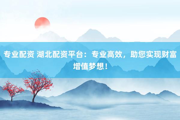 专业配资 湖北配资平台：专业高效，助您实现财富增值梦想！