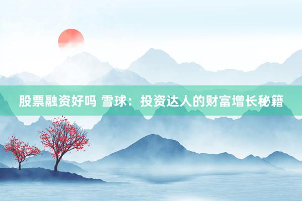 股票融资好吗 雪球：投资达人的财富增长秘籍