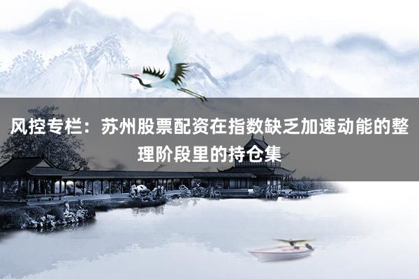 风控专栏：苏州股票配资在指数缺乏加速动能的整理阶段里的持仓集