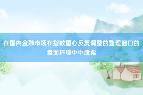 在国内金融市场在指数重心反复调整的整理窗口的盘面环境中中股票