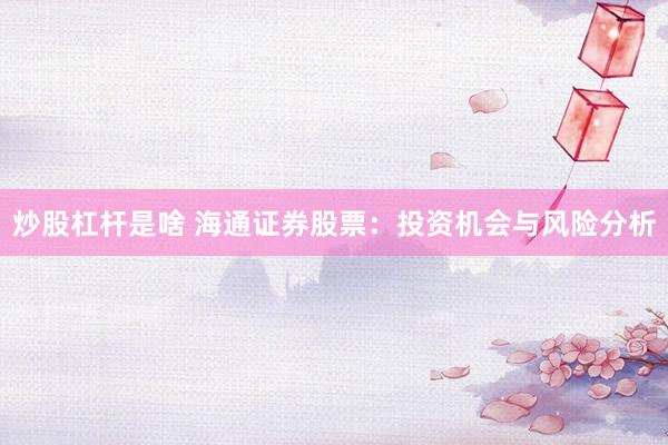 炒股杠杆是啥 海通证券股票：投资机会与风险分析