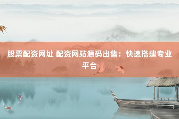 股票配资网址 配资网站源码出售：快速搭建专业平台