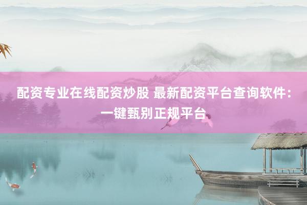 配资专业在线配资炒股 最新配资平台查询软件：一键甄别正规平台