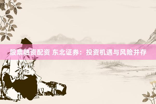 股票融资配资 东北证券：投资机遇与风险并存